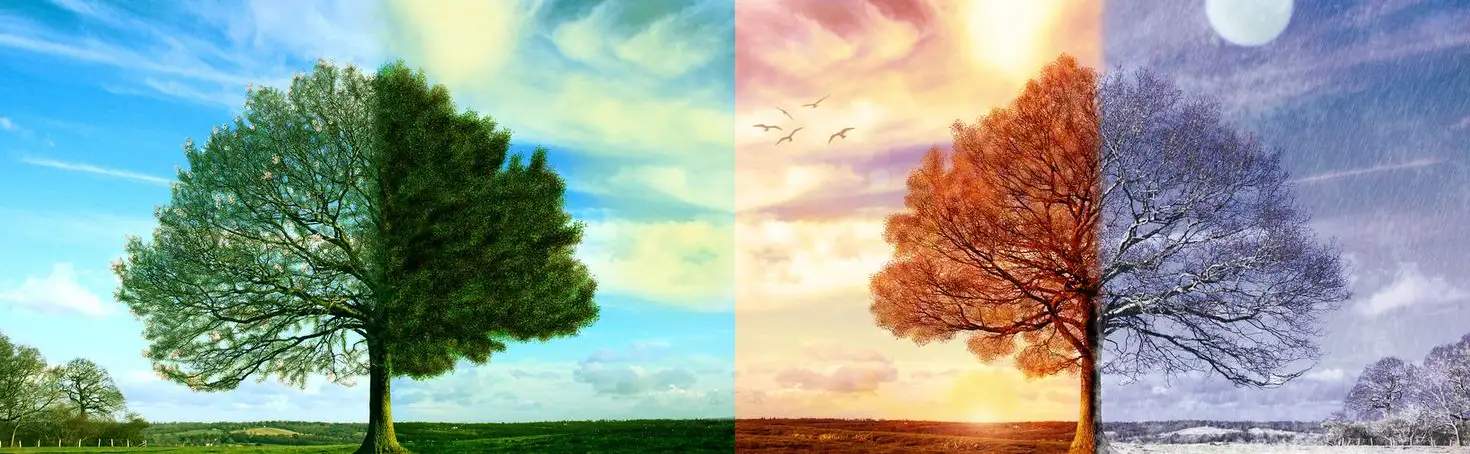 4 seasons seizoenen in finland