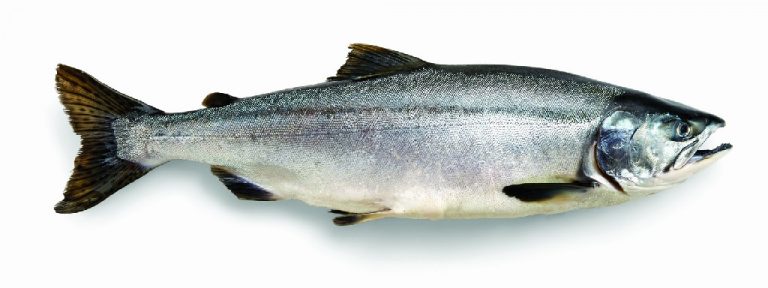 bultrugzalm