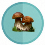 icon mushroom