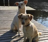 Leika en Lumi