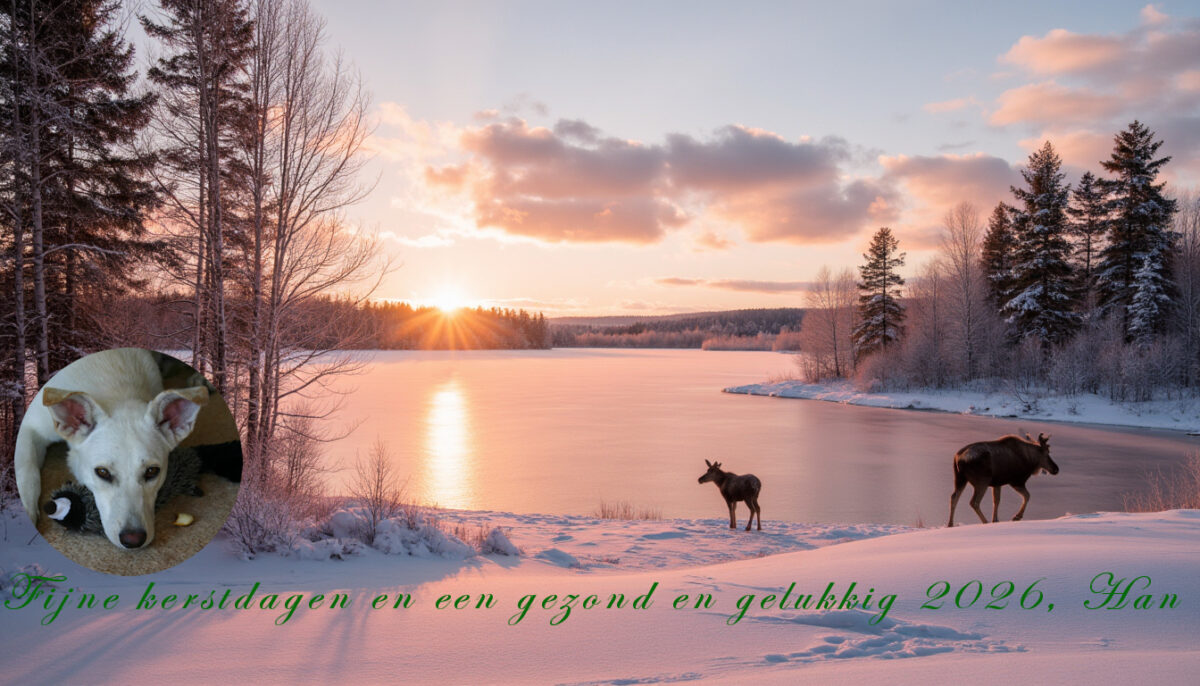 Kerstkaart 2025